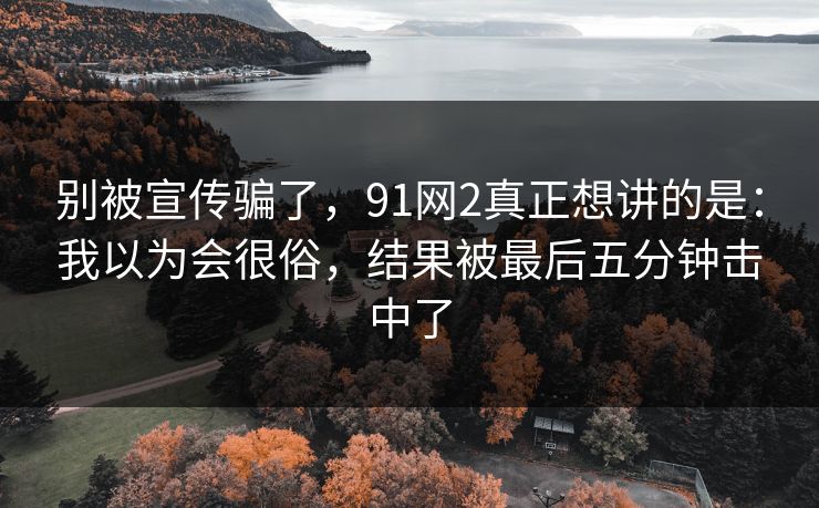 别被宣传骗了，91网2真正想讲的是：我以为会很俗，结果被最后五分钟击中了