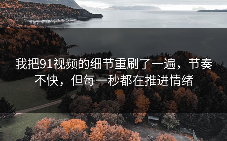 我把91视频的细节重刷了一遍，节奏不快，但每一秒都在推进情绪