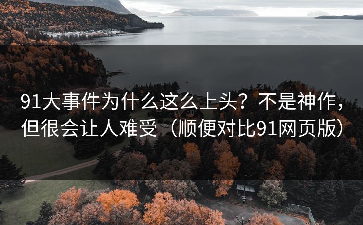 91大事件为什么这么上头？不是神作，但很会让人难受（顺便对比91网页版）  第1张