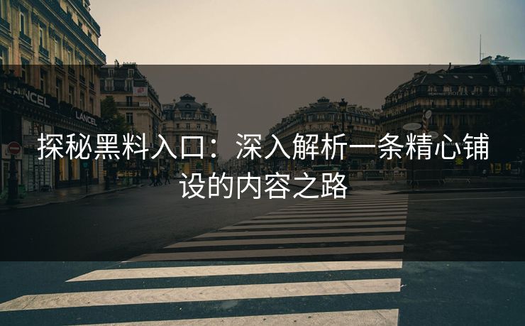 探秘黑料入口：深入解析一条精心铺设的内容之路