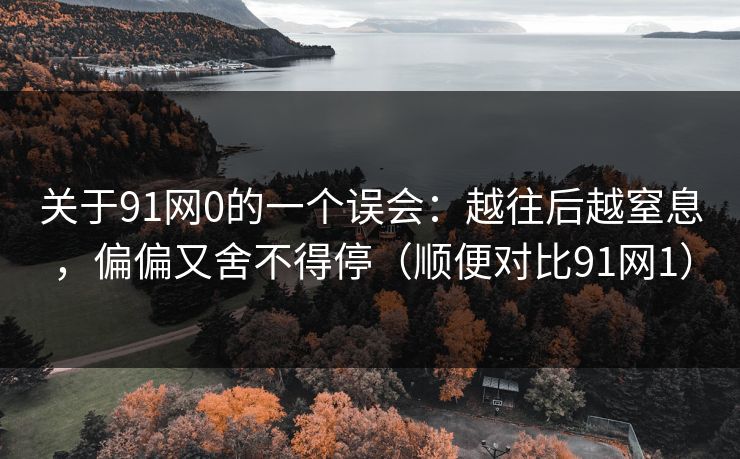 关于91网0的一个误会:越往后越窒息,偏偏又舍不得停(顺便对比91网1)