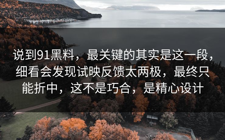 说到91黑料，最关键的其实是这一段，细看会发现试映反馈太两极，最终只能折中，这不是巧合，是精心设计