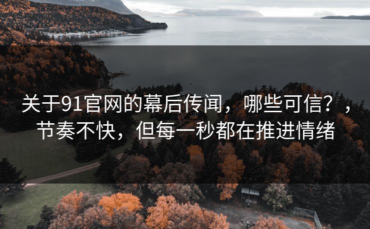关于91官网的幕后传闻,哪些可信?,节奏不快,但每一秒都在推进情绪