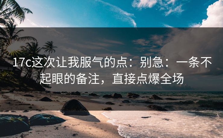 17c这次让我服气的点:别急:一条不起眼的备注,直接点爆全场
