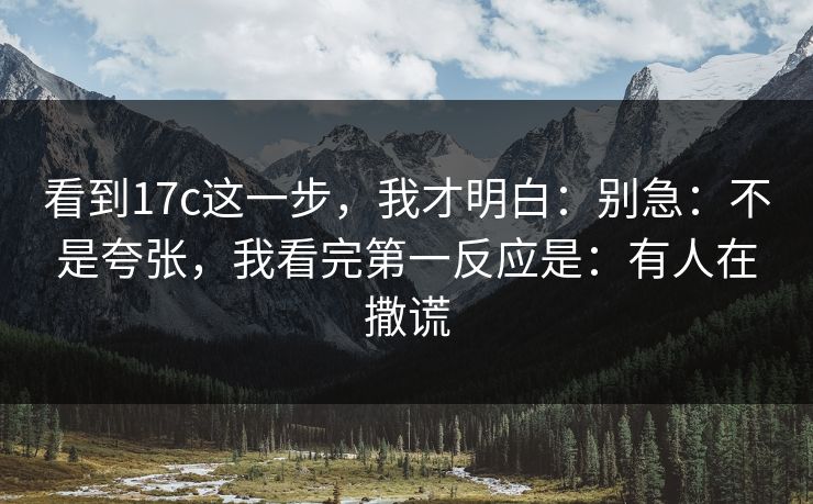 看到17c这一步,我才明白:别急:不是夸张,我看完第一反应是:有人在撒谎 第1张 看到17c这一步,我才明白:别急:不是夸张,我看完第一反应是:有人在撒谎 第1张